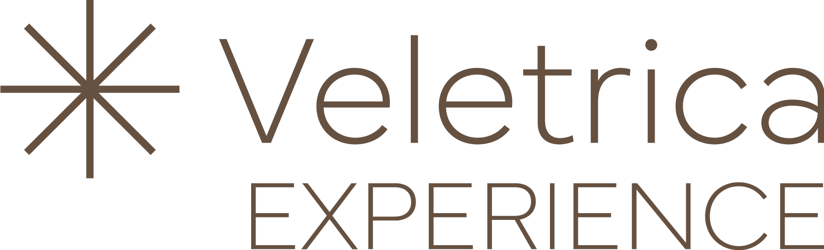 Veletrica Experience